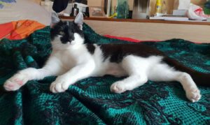 KITI, 02.07 (1)