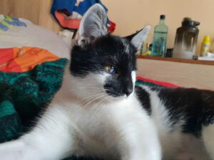 KITI, 02.07 (2)