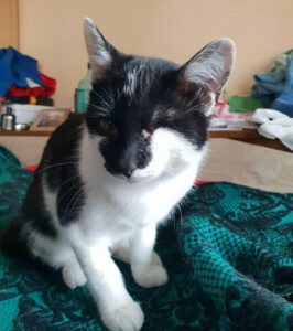 KITI, 02.07 (3)