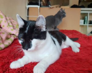 KITI, 02.07 (4)