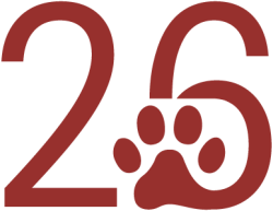 Website-Icon-2