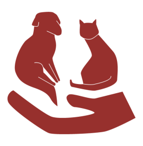 Website-Icon-4